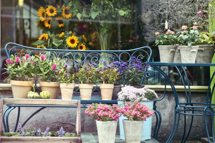 Betrieb Blumenladen 1c