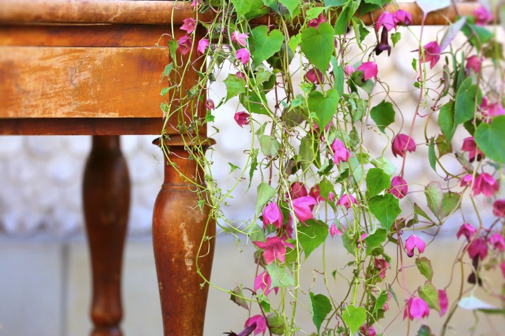 Betrieb Blumenladen 1d