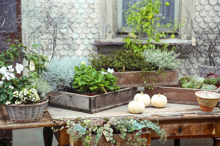 Betrieb Blumenladen 1k