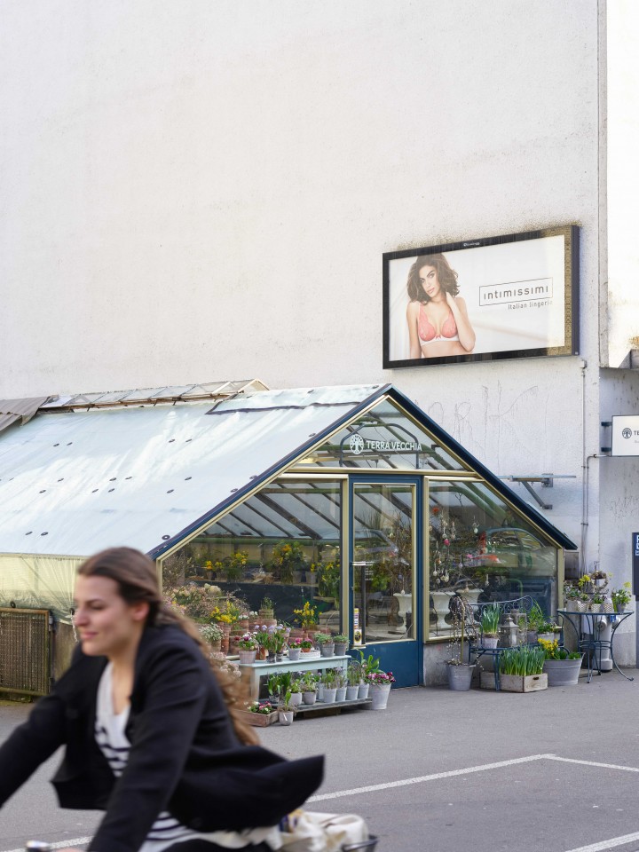 Betrieb Blumenladen 3