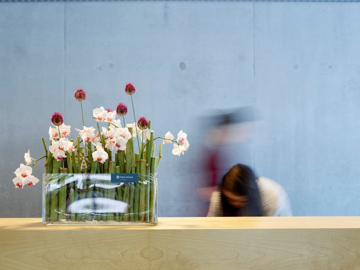 Betrieb Blumenladen 4