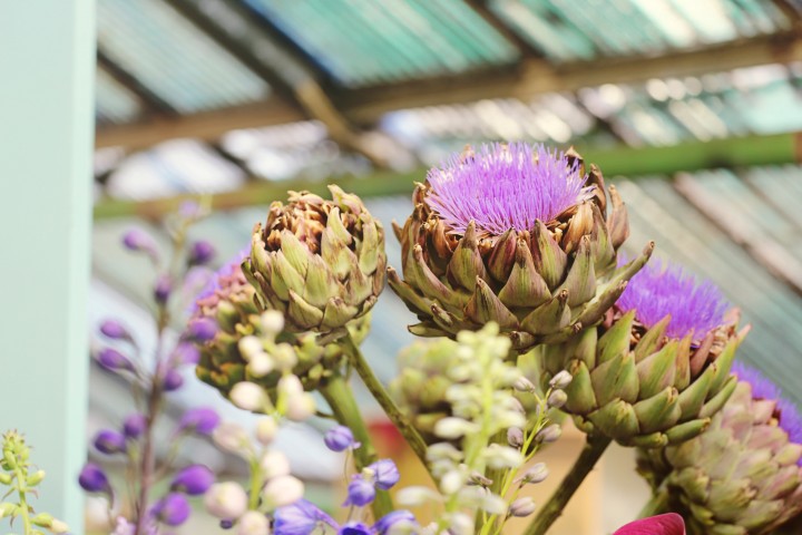 Produkt Blumen 1a v3