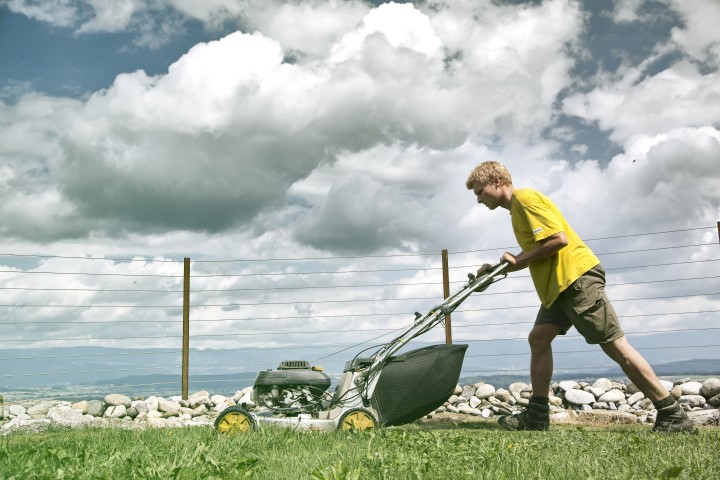 Saurenhorn Gruppentherapie